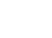 DSGS